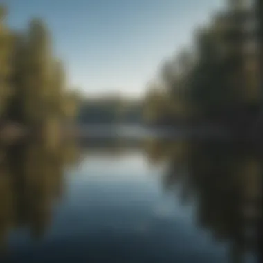 Tranquil waters of Lake Drummond