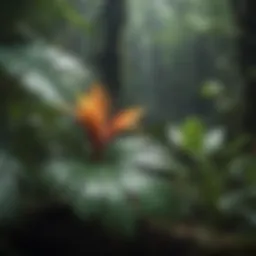 Lush Tropical Rainforest Plant