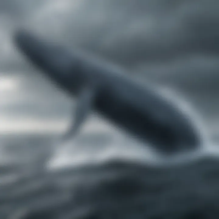 Magnificent Blue Whale breaching the surface of the sea