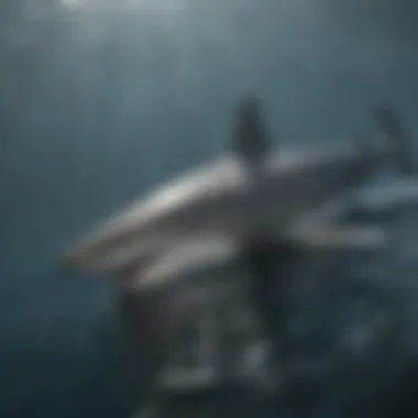 Magnificent shark with distinctive characteristics navigating oceanic expanses