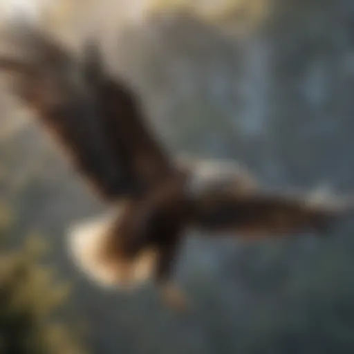 Majestic Eaglet Soaring in the Sky