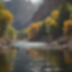 Majestic Fly Fishing in Bighorn Mountains