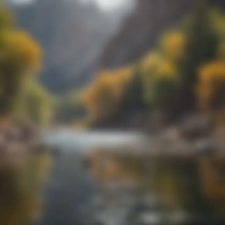 Majestic Fly Fishing in Bighorn Mountains