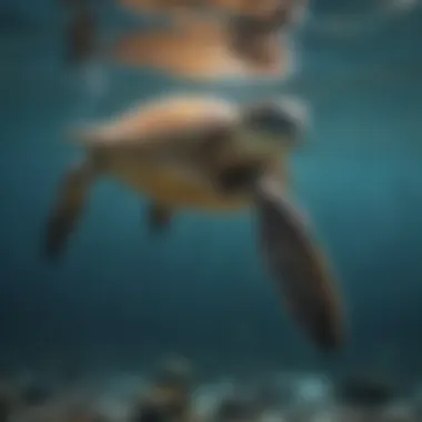 Majestic Loggerhead Turtle Gliding through Ocean Depths