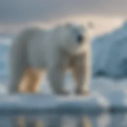 Majestic Polar Bear on Arctic Ice Floe