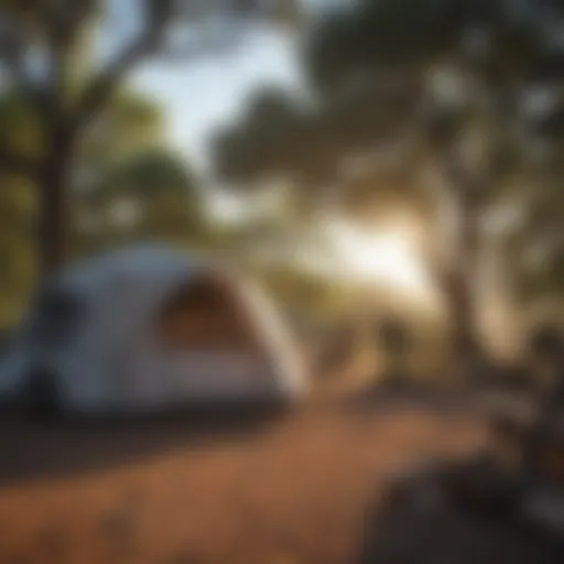 Majestic Texas Hill Country Campsite