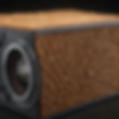 Advanced Air Filter Technology Close-up of air filter technology designed for pet hair removal
