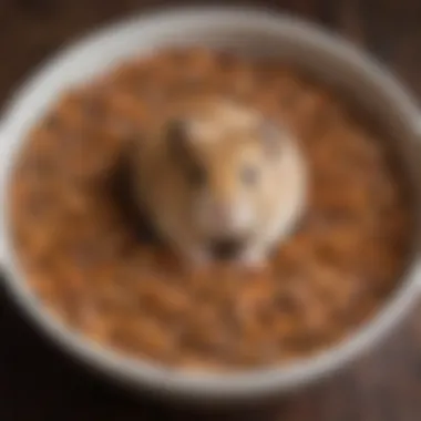 Hamster peeking out of a bowl filled with mealworms