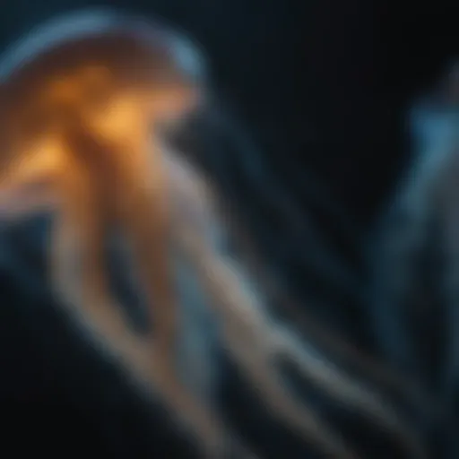 Glowing Jellyfish in Dark Abyss