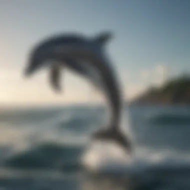 Graceful Dolphin Leaping in Ocean