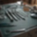 Illustration of veterinary clinic with surgical tools