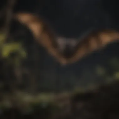 Night Hunters: Bats in Action