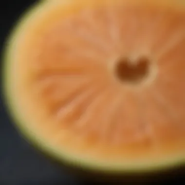 Nutrient-Packed Ambrosia Cantaloupe Slice