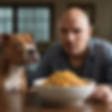 Pitbull Owner and Pet Bonding Over Mealtime