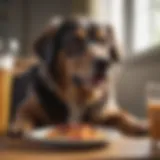 Elderly dog enjoying a nutritious meal