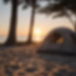 Peaceful Sunset at Delaware Beach Campsite