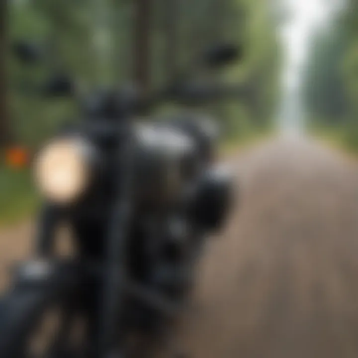 Pet Carrier Motorcycle Durability