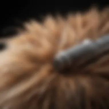 Close-up of force dryer nozzle and fur