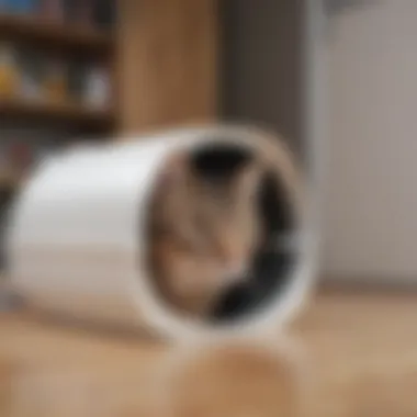Cat Utilizing Petsafe Litter Box Hood Illustration of a cat using the Petsafe litter box hood efficiently.