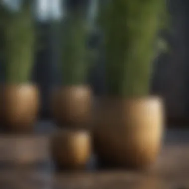 Selecting the Right Container Size for Bamboo Different container sizes for growing bamboo