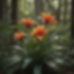 A vibrant array of native Florida plants showcasing ecological diversity