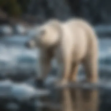 Polar Bear Engaged in a Hunt Near Icy Waters Polar Bear Hunting Near Icy Waters