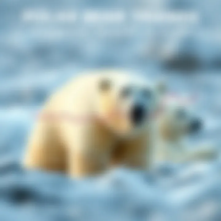 Population Trends of Polar Bears Over the Years Chart showing polar bear population trends