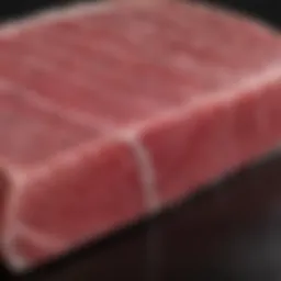 Premium grade ahi tuna fillet