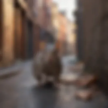 Rats in Urban Settings: Adaptation and Survival Rat navigating through a city alleyway.