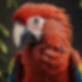 Majestic Scarlet Macaw displaying vibrant red plumage