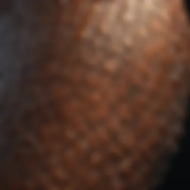 Armor Plated Reptile Skin Texture