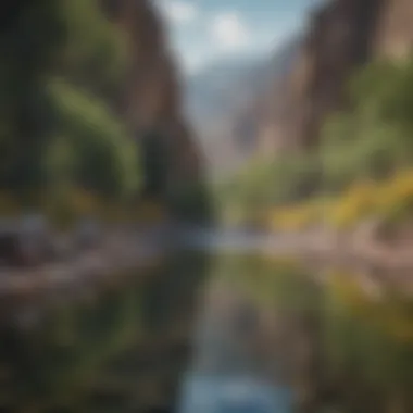 Riverside Casting in Bighorn Mountains