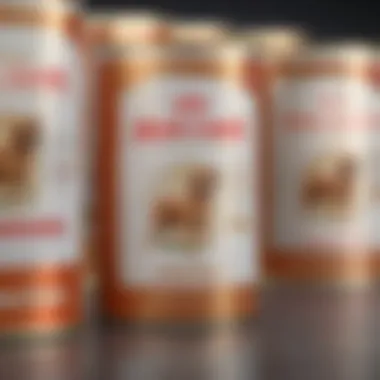 Exquisite Packaging Design of Royal Canin Urinary SO Dog Food Illustration of Royal Canin Urinary SO dog food packaging