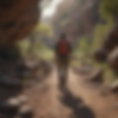 Hiker exploring the rugged trails of Cave Creek Regional Park