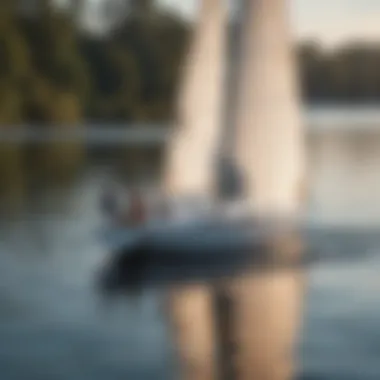 Sailboats gracefully gliding on the shimmering surface of Lake Conroe