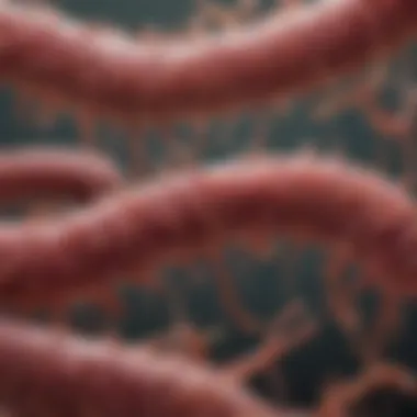 Visualizing Salmonella Bacteria in a Dog's Intestinal Tract Salmonella Bacteria in Dog's Intestines illustration