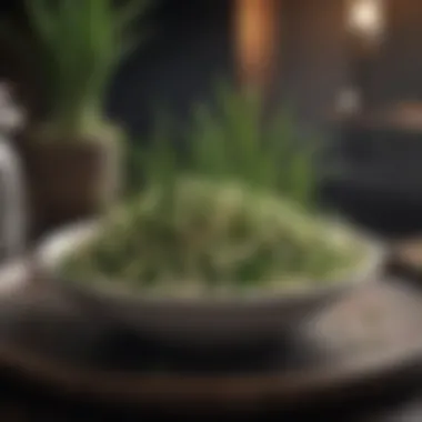Elevating Dishes with Scallion Flair Scallion Culinary Inspirations