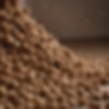 Close-up of Science Diet dog food kibble