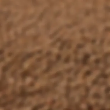 Close-up of high-quality dry dog food kibble suitable for small breeds