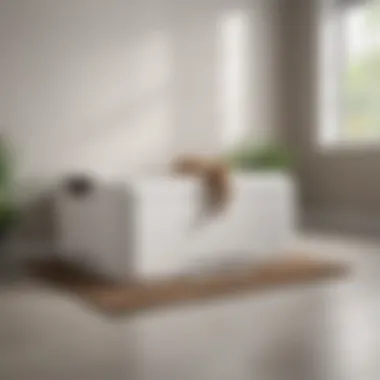User-Friendly Interface of Self-Cleaning Litter Box XL User-friendly interface of the Self-Cleaning Litter Box XL