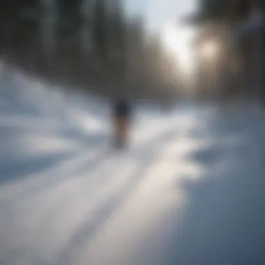 Skiers enjoying the slopes at a Minnesota snow resort