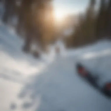 Skiers enjoying a thrilling descent down a steep slope