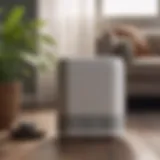 Sleek Air Purifier with Pet Hair Filter