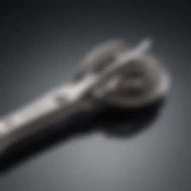 Sleek and Ergonomic Design for Comfortable Grooming Sleek and Ergonomic Pet Shears
