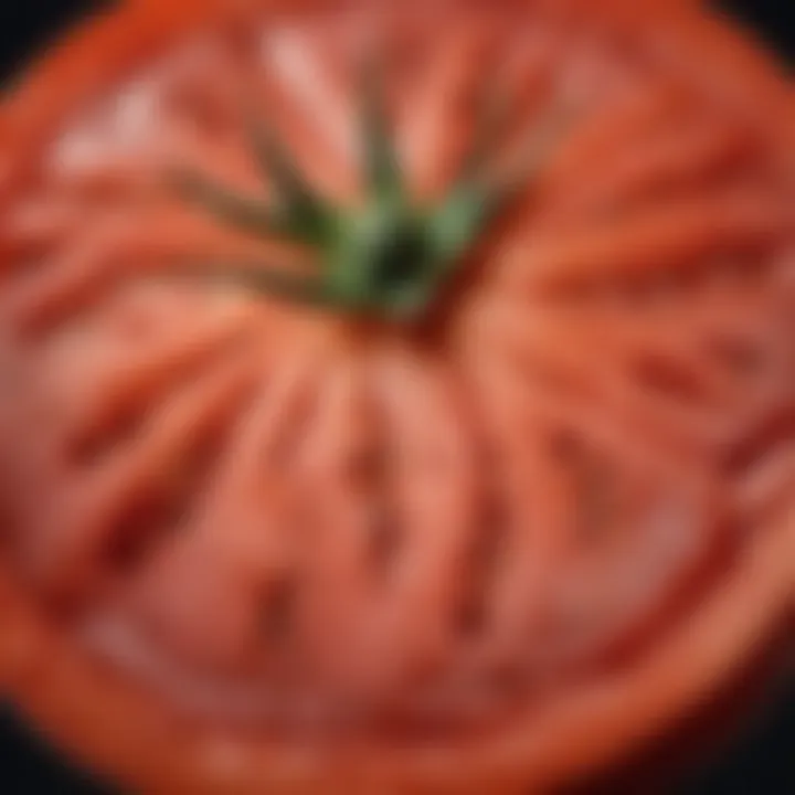 Sliced Burpee Beefsteak Tomato Revealing Juicy Interior