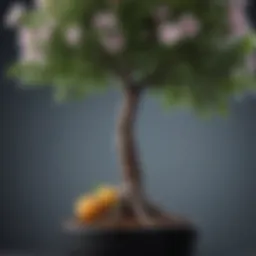 Botanical Wonder Blossoming