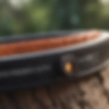 Elegant Bark Collar Aesthetics Sophisticated Bark Collar Design
