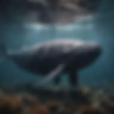 Sperm Whales and Their Role in Marine Ecosystems Sperm whales swimming in a rich marine environment demonstrating their ecological importance.