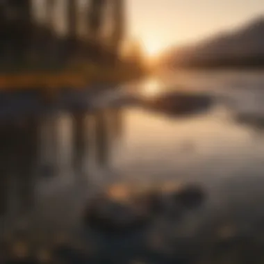 Sunset casting a golden glow over Yellowstone River's tranquil waters