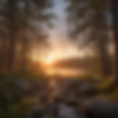 Sunset Over Ouachita National Forest